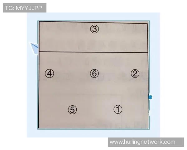 西安排球队战术解析与冠军赛表现评估